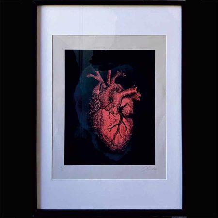 Pintura del órgano del corazón en rojo y fondo negro