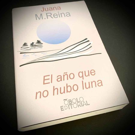 EL AÑO QUE NO HUBO LUNA portada de libro ficticio con una ilustración del sol en el mar