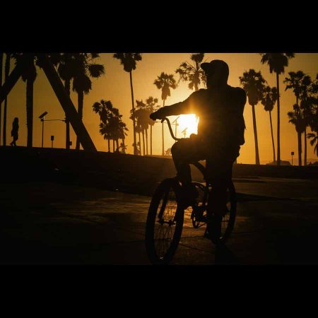 Fotografia de un hombre montando en bicicleta con el atardecer y palmeras de fondo